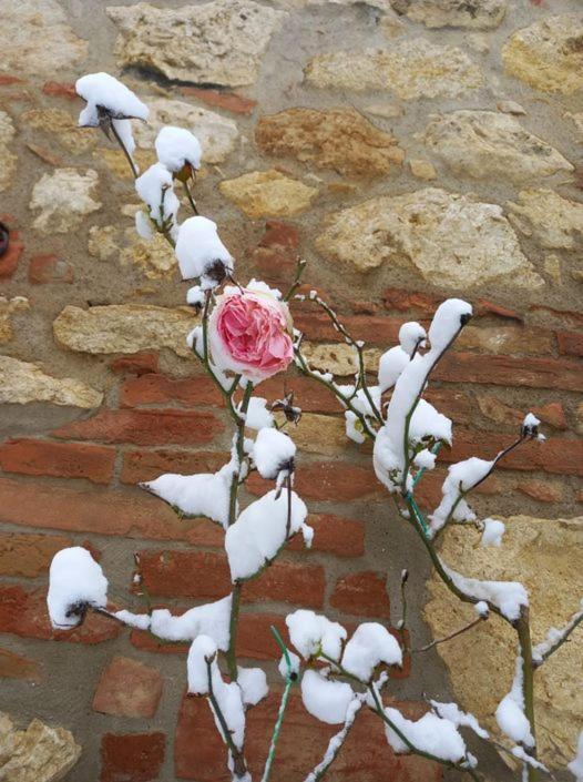 Agriturismo Ardene Villa Montepulciano Stazione Exterior foto